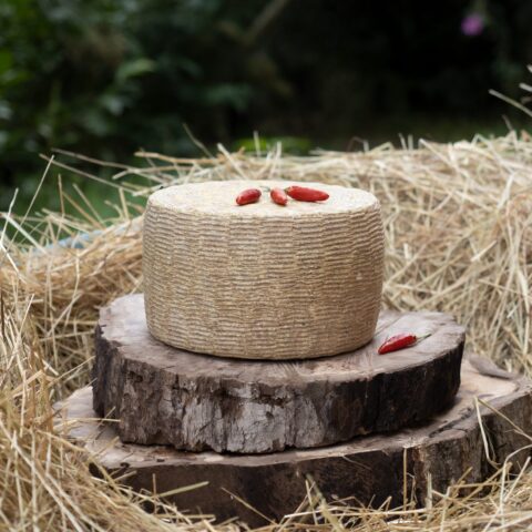 Canestrella al peperoncino