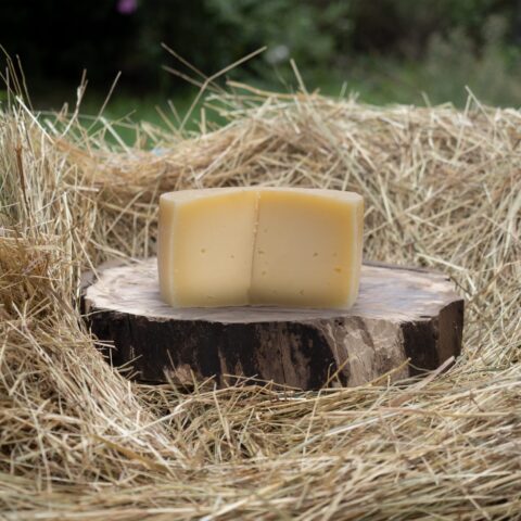 Cotto di Santa Lucia