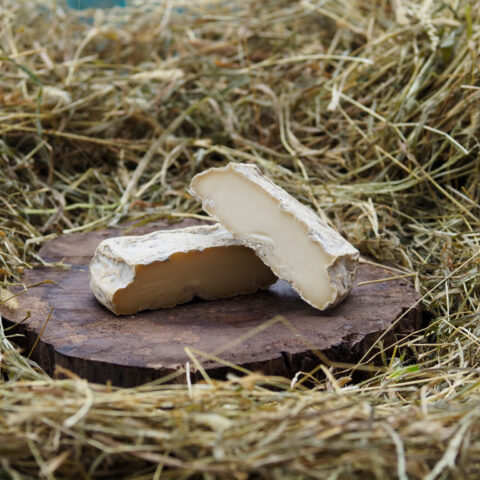 El quadrel de la Giusy